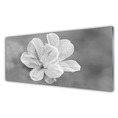 Cuadro de acrílico Flores planta
