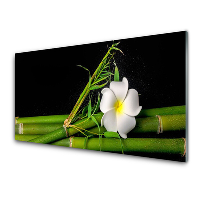 Cuadro de acrílico Bambú flor planta