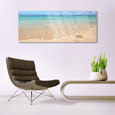 Cuadro de cristal acrílico Playa estrella de mar paisaje
