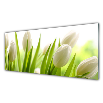 Cuadro de cristal acrílico Tulipanes flores