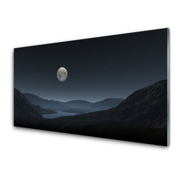 Cuadro de cristal acrílico Noche luna paisaje