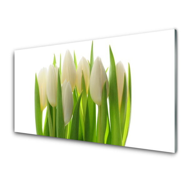 Cuadro de acrílico Tulipanes planta naturaleza