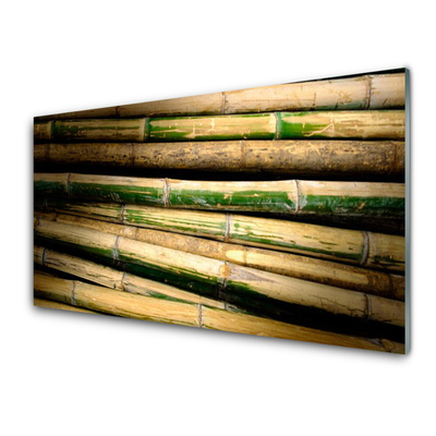 Cuadro de acrílico Bambú planta naturaleza