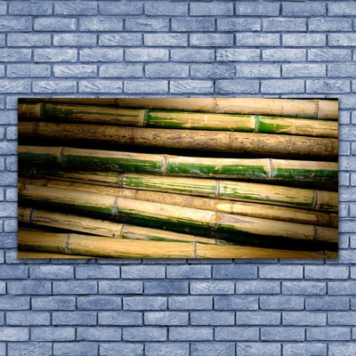 Cuadro de acrílico Bambú planta naturaleza