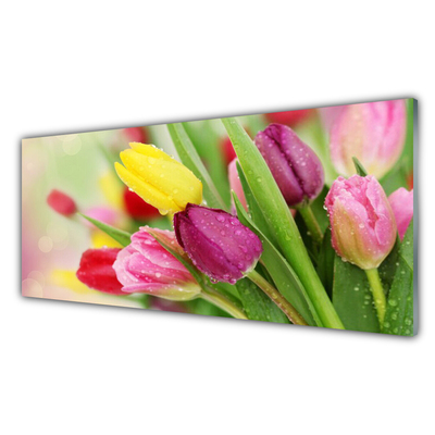 Cuadro de acrílico Tulipanes flores planta