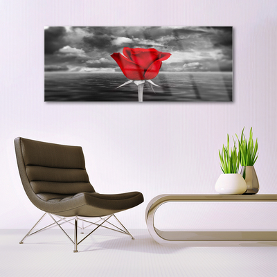 Cuadro de acrílico Rosa flor planta mar
