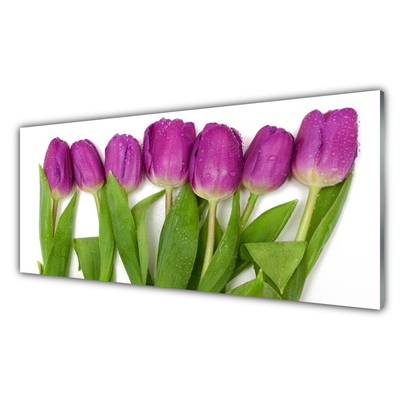 Cuadro de acrílico Tulipanes flores planta