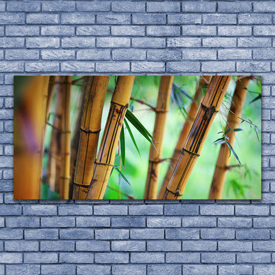 Cuadro de acrílico Bambú naturaleza planta