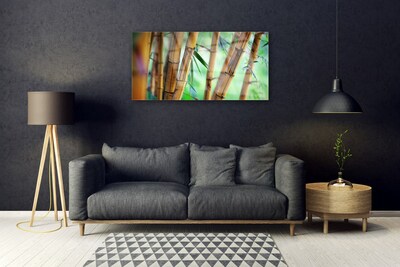 Cuadro de acrílico Bambú naturaleza planta