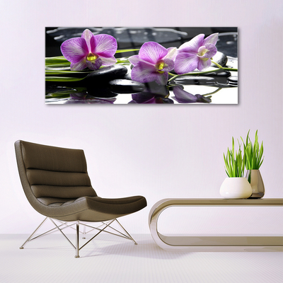 Cuadro de acrílico Flor orquídea planta