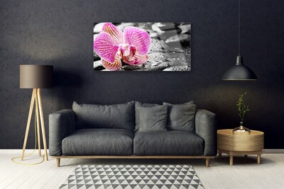 Cuadro de acrílico Flor piedras orquídea