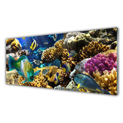 Cuadro de acrílico Arrecife naturaleza