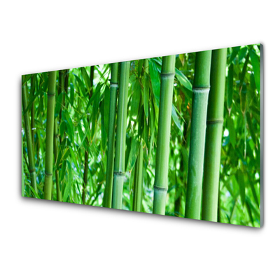Cuadro de acrílico Bambú tallo planta
