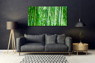 Cuadro de acrílico Bambú tallo planta