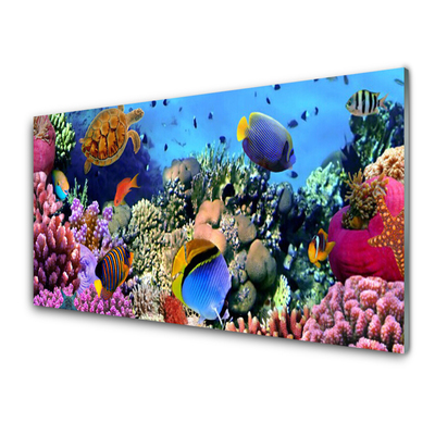 Cuadro de acrílico Arrecife naturaleza