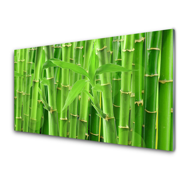 Cuadro de acrílico Bambú tallo flor planta