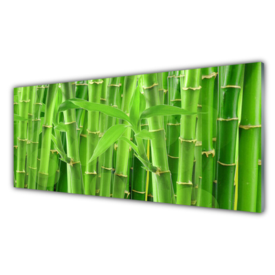 Cuadro de acrílico Bambú tallo flor planta