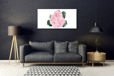 Cuadro de acrílico Rosa flor planta naturaleza