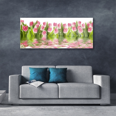 Cuadro en plexiglás Tulipanes planta naturaleza