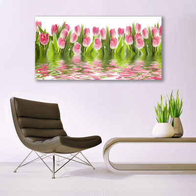 Cuadro en plexiglás Tulipanes planta naturaleza