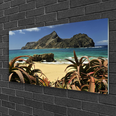 Cuadro en plexiglás Playa mar roca paisaje
