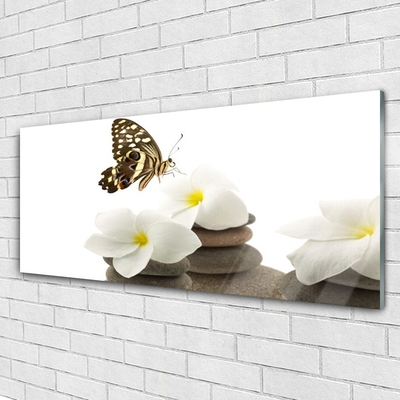 Cuadro en plexiglás Mariposa flor piedras planta