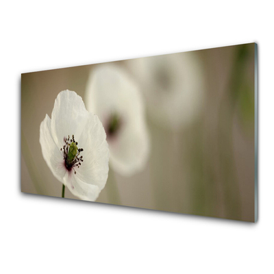 Cuadro en plexiglás Flor planta naturaleza