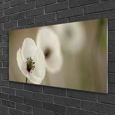 Cuadro en plexiglás Flor planta naturaleza