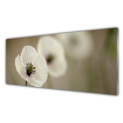 Cuadro en plexiglás Flor planta naturaleza