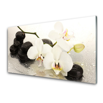 Cuadro en plexiglás Flor preciosa orquídea
