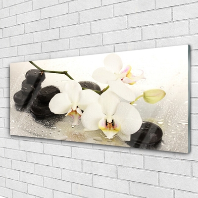 Cuadro en plexiglás Flor preciosa orquídea