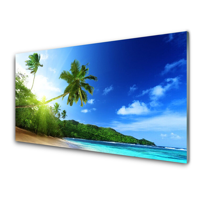 Cuadro en plexiglás Playa mar palmera paisaje