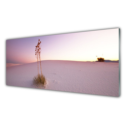 Cuadro en plexiglás Desierto arena paisaje