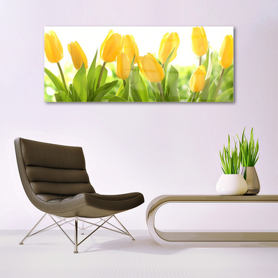 Cuadro en plexiglás Tulipanes flores planta