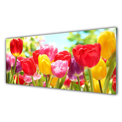 Cuadro en plexiglás Tulipanes flores planta