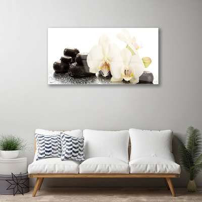Cuadro en plexiglás Flor orquídea blanca