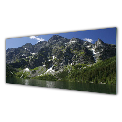 Cuadro en plexiglás Monte lago bosque paisaje
