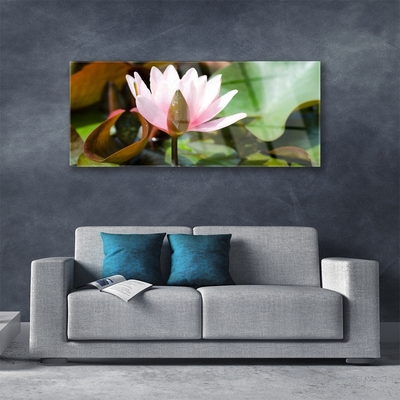 Cuadro en plexiglás Flor planta naturaleza