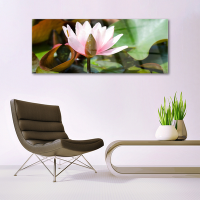 Cuadro en plexiglás Flor planta naturaleza