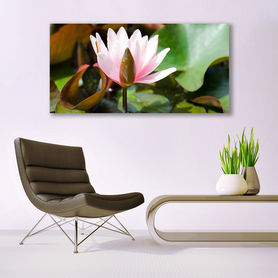 Cuadro en plexiglás Flor planta naturaleza