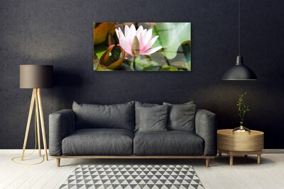 Cuadro en plexiglás Flor planta naturaleza