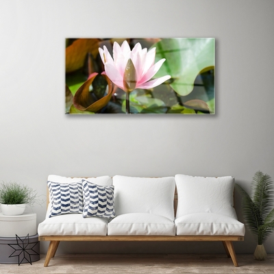 Cuadro en plexiglás Flor planta naturaleza