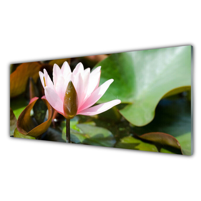 Cuadro en plexiglás Flor planta naturaleza