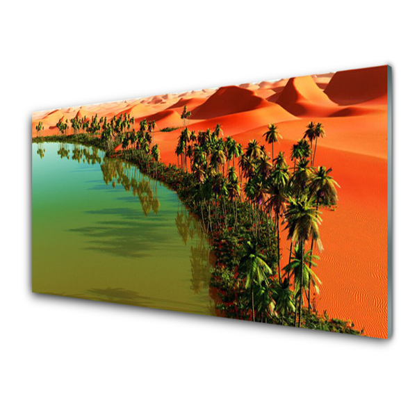 Cuadro en plexiglás Lago desierto palmeras