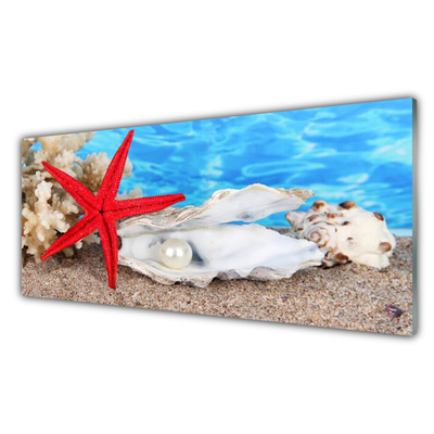Cuadro en plexiglás Estrella de mar conchas naturaleza