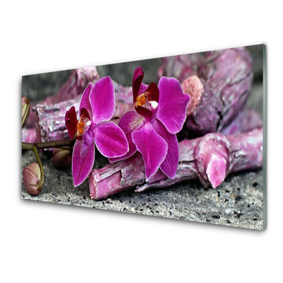 Cuadro en plexiglás Madera flores planta naturaleza