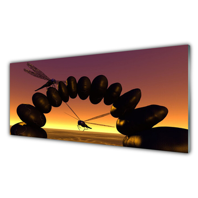 Cuadro en plexiglás Libélulas insectos arte