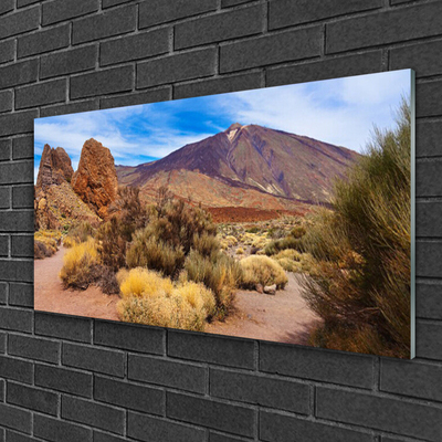 Cuadro en plexiglás Monte plantas rocas paisaje