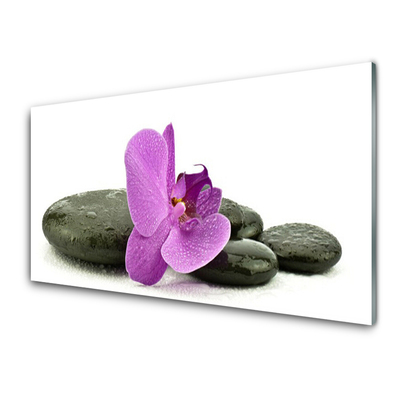 Cuadro en plexiglás Flor orquídea