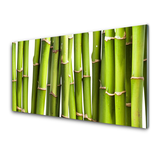 Cuadro en plexiglás Bambú planta naturaleza